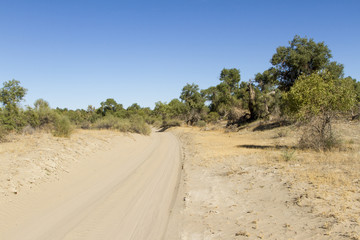 Road in the desert of sand