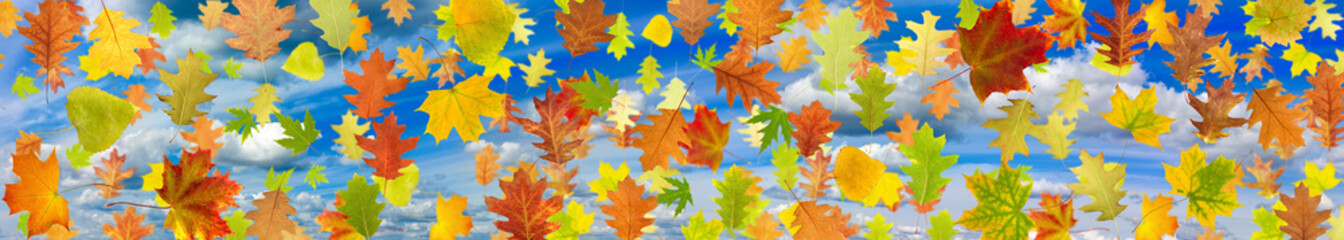 Naklejka na ściany i meble Image of leaves against the sky