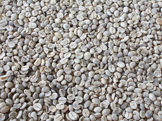 coffee beans