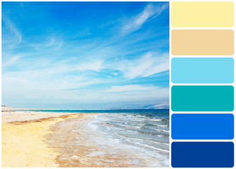 Beautiful beach and palette of colors