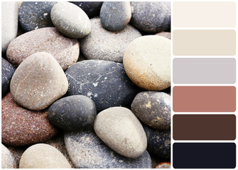 Wet sea pebbles and palette of colors