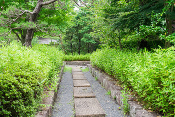 Fototapeta na wymiar Passage in the Japanese park