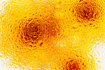 yellow daisy flower,background of the flowers, water drops