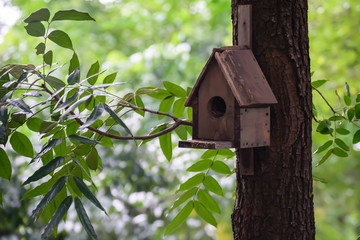 Wooden birdhouse on the tree.
