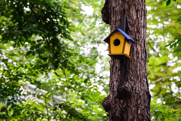Colorful birdhouse on the tree.
