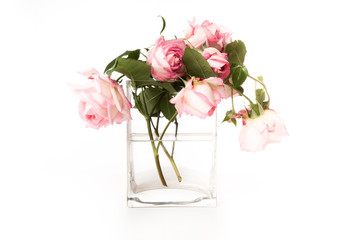pink roses in a glass vase with light  background