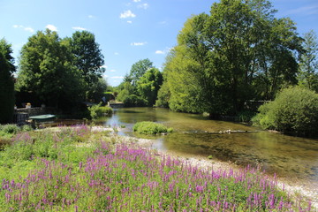 Conie11