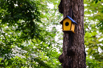 Colorful birdhouse on the tree.
