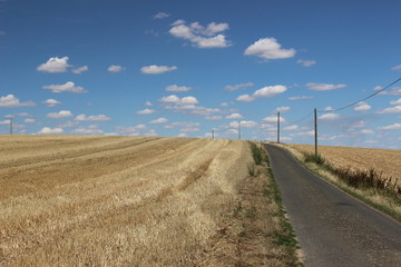 Paysage de Beauce