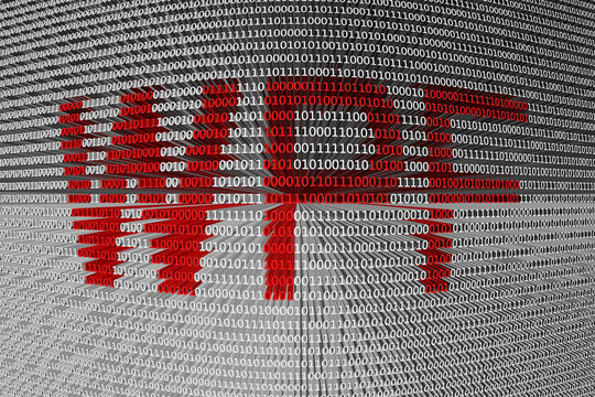 wpf is presented in the form of binary code 