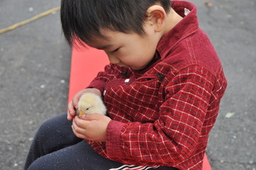 ひよこと子ども © Yuko