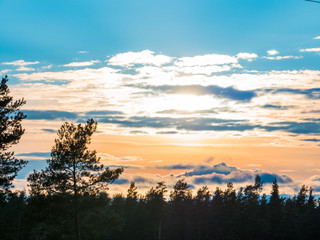 Beautiful autumn forest at sunset
