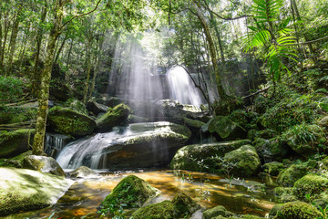 Waterfall with sunbeam in rainforest.