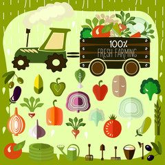 Organic products. Vector.  © knopazyzy