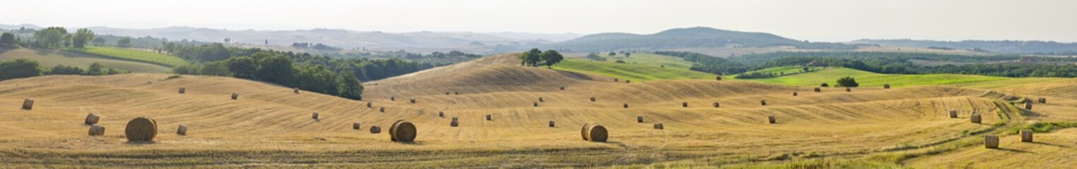 panorama landscape in Tuscany in Italy