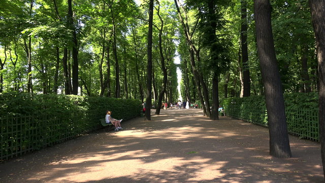 Summer garden. Saint-Petersburg. 4K.