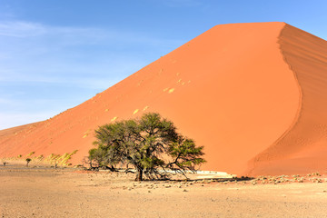 Fototapeta na wymiar Namib Desert, Namibia