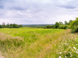 field of grass and perfect sky at summer