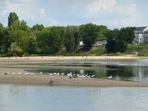 Orléans-sur-Loire 5
