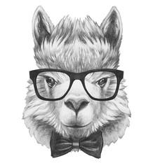 Portrait of Lama with glasses and bow tie. Hand drawn illustration. © Victoria Novak