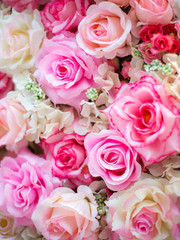 Fototapeta na wymiar Soft color Roses Background