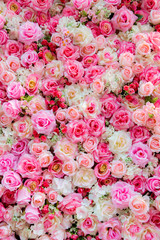Soft color Roses Background