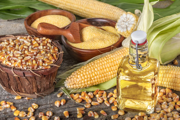 Freshly picked domestic corn with grits polenta and corn oil © DDsign