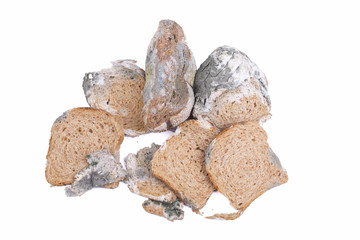 Mouldy bread
