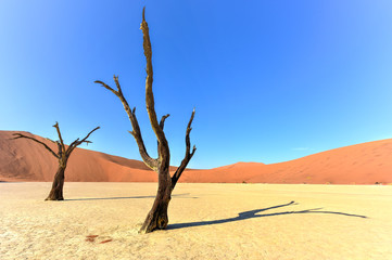Fototapeta na wymiar Dead Vlei, Namibia