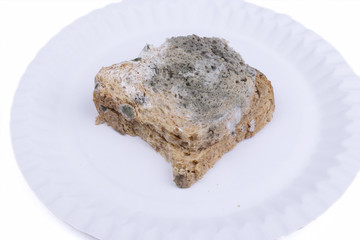 Mouldy bread