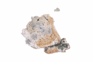 Mouldy bread
