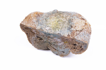 Mouldy bread