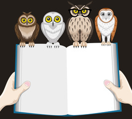 Book and owls
