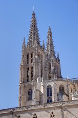 Fototapeta na wymiar cathedrale de burgos