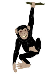 Obraz premium funny monkey hanging on the vine