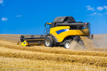 A combine harvester at the grain harvest - 3115