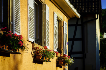 Fototapeta na wymiar Street view of old windows with shutters, Andlau, France