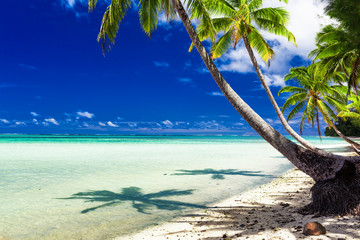 Beach with palm trees over tropical water at Rarotonga, Cook Isl