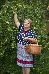 Pensioner woman with basket under pear tree