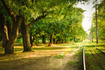 Railway in a beautiful forest