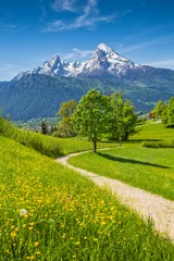 Fototapeten Idyllische Landschaft in den Alpen mit Wiesen und Blumen © JFL Photography