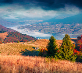 Fantastic colors autumn landscape in the Carpathian mountains