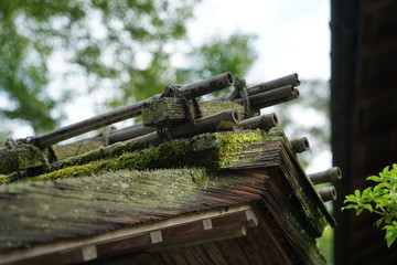 苔の生えた屋根