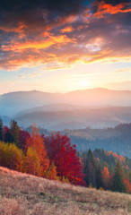 Obraz na płótnie Canvas Colorful autumn sunrise in the Carpathian mountains