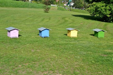 Petites ruches multicolores