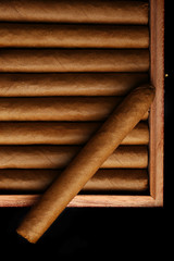 Cigars in box on table, closeup