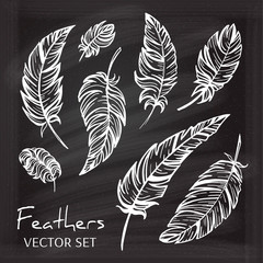 Vector chalk graphic feathers set.