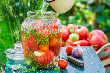 Fresh canned tomatoes in the jar