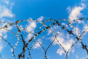 Barbed wire against the sky