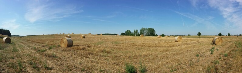 Gem&auml;htes Kornfeld mit Strohballen, blauem Himmel und Sonnenschein
